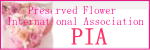 Preserved Flower Inetrnational Association
